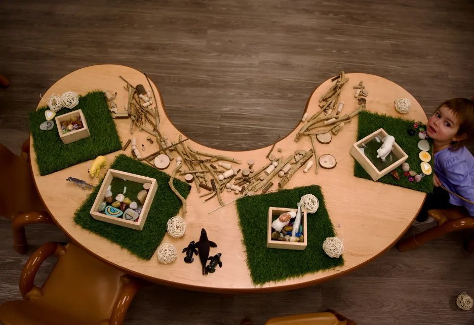 Nature-inspired art activity